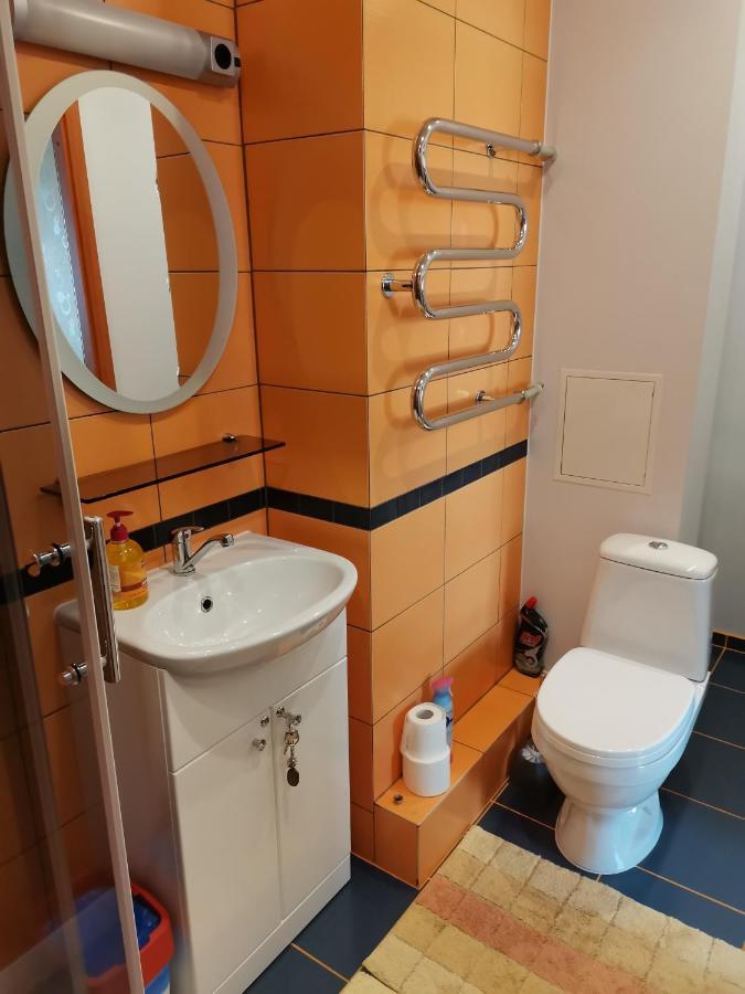 Sunny Apartment Kėdainiai Buitenkant foto